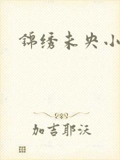 锦绣未央小说