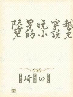 陆星晚穿越成婴儿的小说免费阅读全文