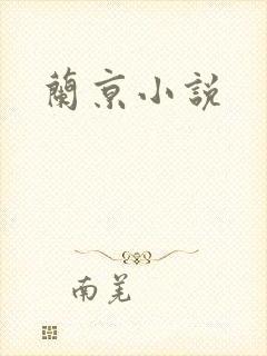 兰京小说封面