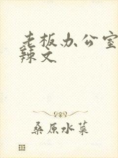 老板办公室系列辣文