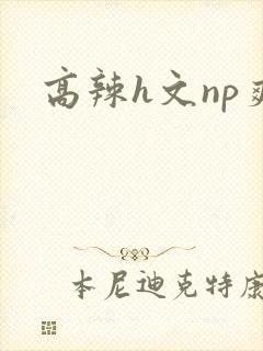 高辣h文np爽