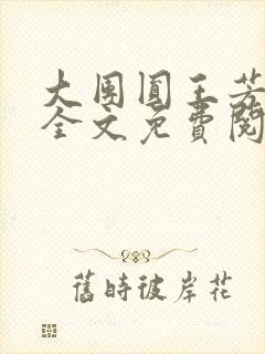 大团圆王芳高敏全文免费阅读封面