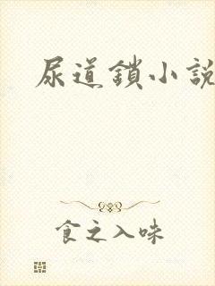 尿道锁小说封面