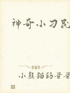 神奇小刁民