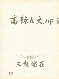 高辣h文np爽