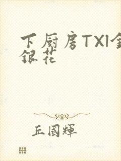 下厨房TXl金银花