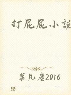 打屁屁小说