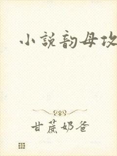 小说韵母攻略