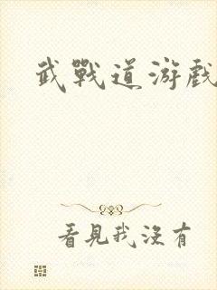 武战道游戏