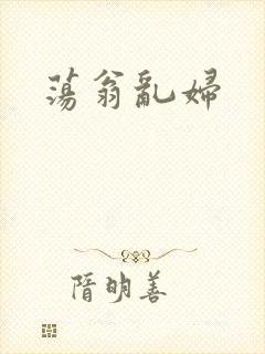 荡翁乱妇封面