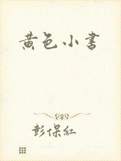 黄色小书