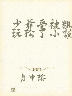 少爷受被粗汉H玩松了小说封面
