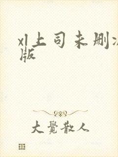 xl上司未删减版