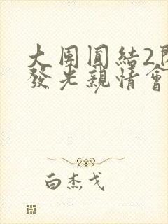 大团圆结2闪闪发光亲情会