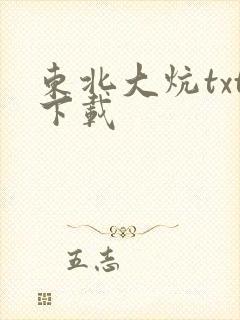 东北大炕txt下载封面