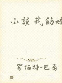 小说 我的娇妻