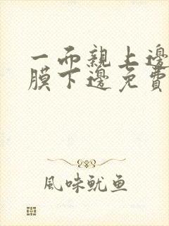 一面亲上边一面膜下边免费阅读