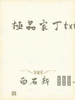 极品家丁txt