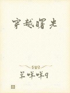 穿越曙光封面