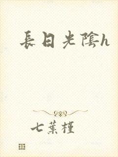 长日光阴h封面