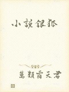 小说银狐