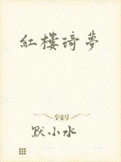 红楼琦梦