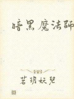 暗黑魔法师封面