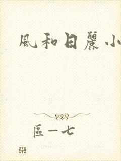 风和日丽小说封面