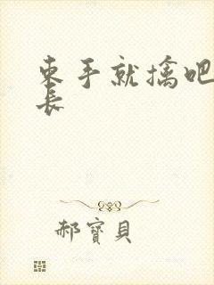 束手就擒吧韩队长