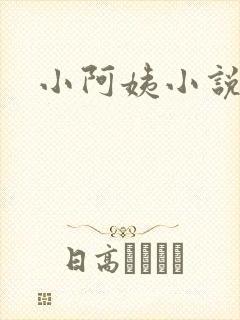 小阿姨小说