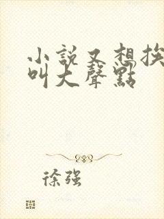 小说又想挨C了叫大声点