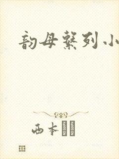 韵母系列小说