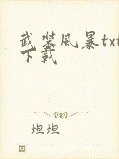 武装风暴txt下载封面