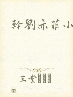 干刘亦菲小说