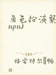 角色扮演系统(npn)封面