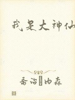 我是大神仙小说