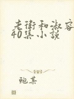 老卫和淑容1-40集小说