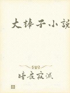 大棒子小说封面