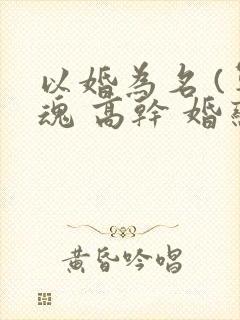 以婚为名 (军魂 高干 婚恋)
