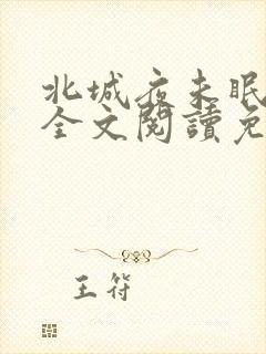 北城夜未眠小说全文阅读免费