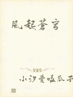 风起苍穹