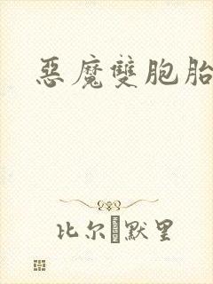 恶魔双胞胎