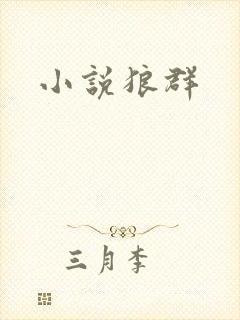 小说狼群