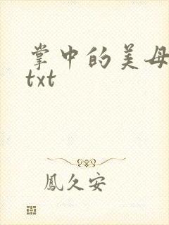 掌中的美母版主txt