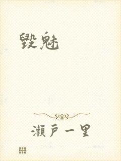 毁魅