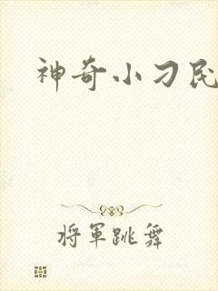 神奇小刁民