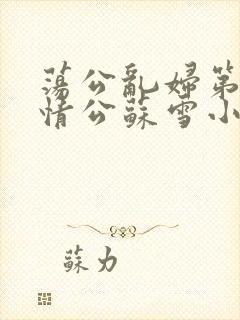 荡公乱妇第1章情公苏雪小说