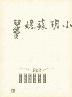 儿媳苏玥小说免费