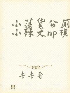 小荡货公厕h文小辣文np视频