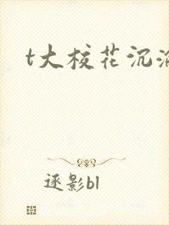 t大校花沉沦封面